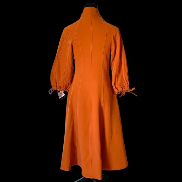 The RAETRUDA Rust Tie Accent Dress - Picture 10 of 14